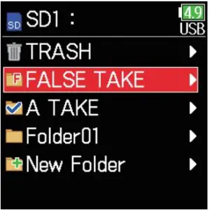 Emptying the TRASH/FALSE