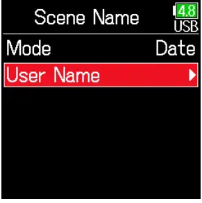 Recorded Scene Setting and Managing