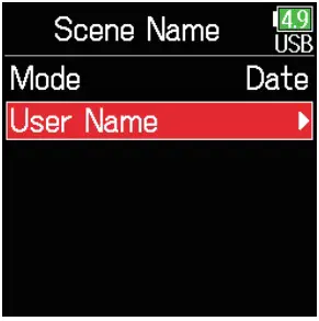 Recorded Scene Setting and Managing