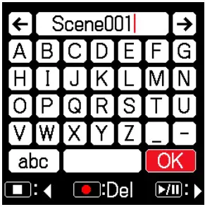 Recorded Scene Setting and Managing