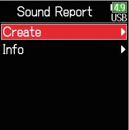 Writing sound reports