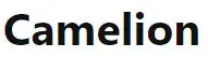 Camelion-SH916WC-Jump-Starter-LOGO