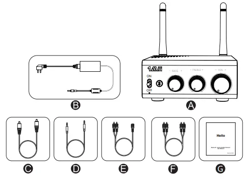 1Mii B0308 Wireless Audio Amplifier Receiver 1