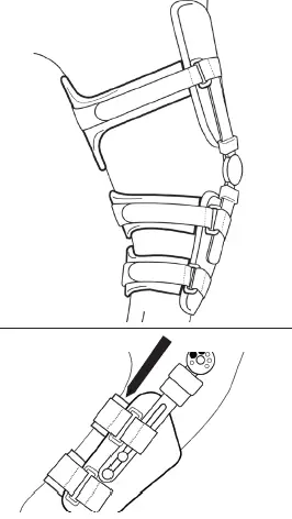 performance Animal Ortho care 13