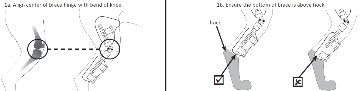 performance Animal Ortho care 3