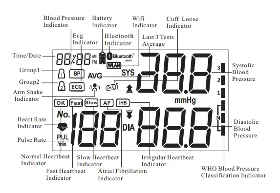 SEJOY-DBP-6673B-ECG-Blood-Pressure-Monitor-4
