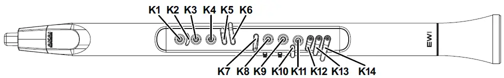 AKAI Ewi Solo Instrument With Built-In Speaker 10
