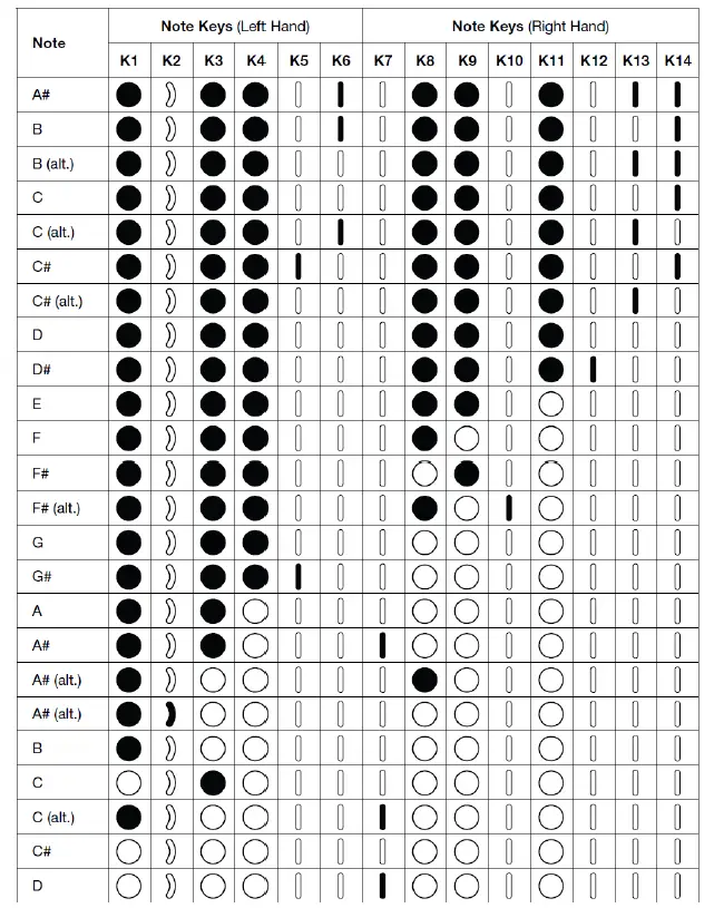 AKAI Ewi Solo Instrument With Built-In Speaker 11
