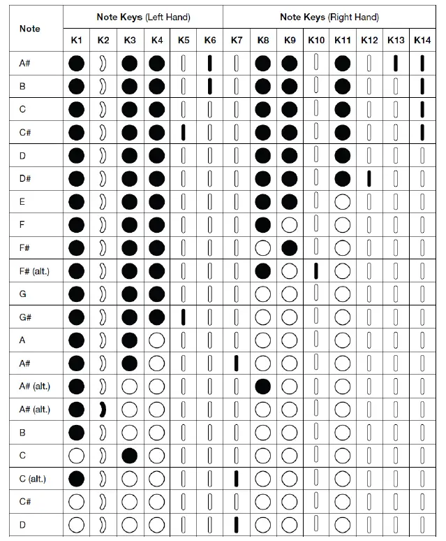 AKAI Ewi Solo Instrument With Built-In Speaker 12