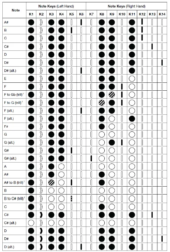 AKAI Ewi Solo Instrument With Built-In Speaker 14