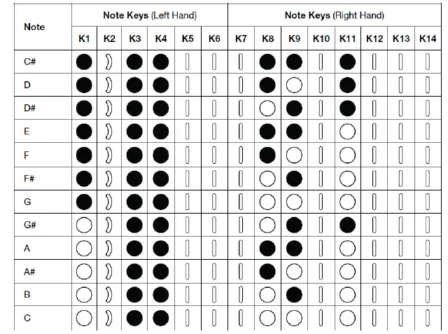 AKAI Ewi Solo Instrument With Built-In Speaker 15
