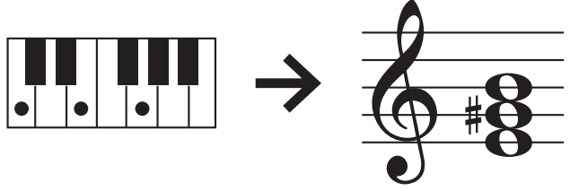 Roland GP 9 Digital Grand Piano - Transpose