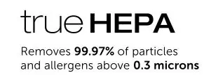 True hepa logo