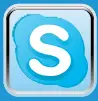 Skype Icon