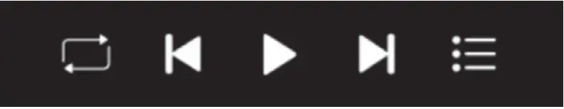 SOMOGYI ELEKTRONIC VB 3100 Elektronic SAL VoxBox - AUDIO 1