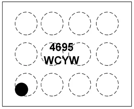 OMNIVISION WS4695C Small Low RON Single Channel Load - fig1