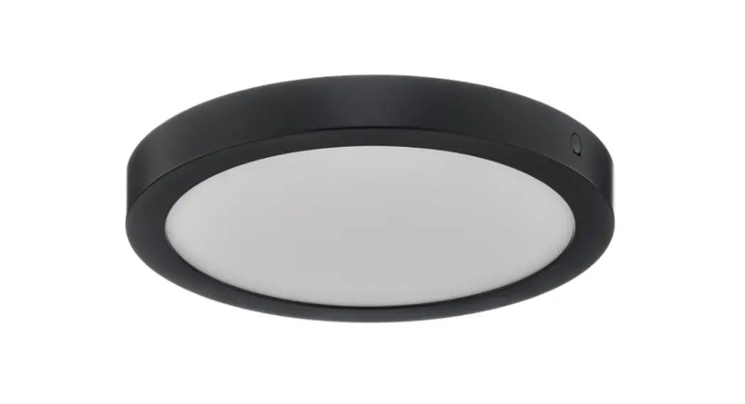 Paulmann 708.99 Ceiling Light Installation Guide