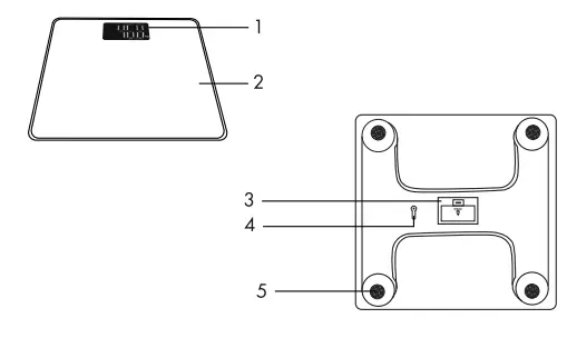 SILVERGEAR 915387 Body Scale with LCD Display FIG (3)