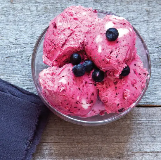 BERRY SORBET