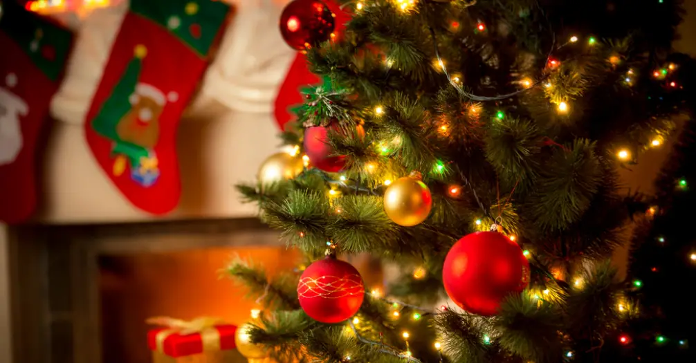 Anslut 016873 Led Christmas Tree Light Instruction Manual