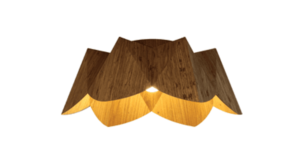 Accord Physalis Ceiling Mounted 5093 Instruction Manual Accord Physalis Ceiling Mounted 5093 Instruction Manual