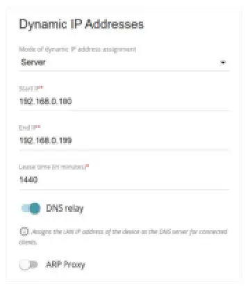 D-Link DIR-822 AC1200 Wave 2 WiFi Router - IPv4 address assignment