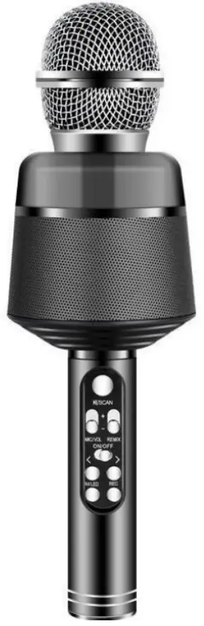 tzumi 8736 LED Karaoke Microphone