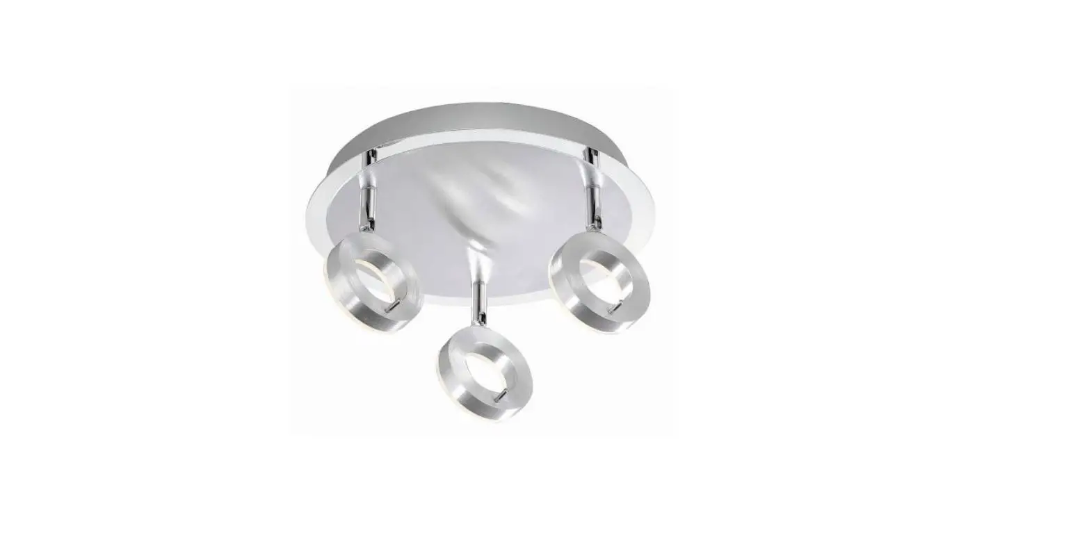 Paul Neuhaus 6788-96 Ceiling Light Instruction Manual