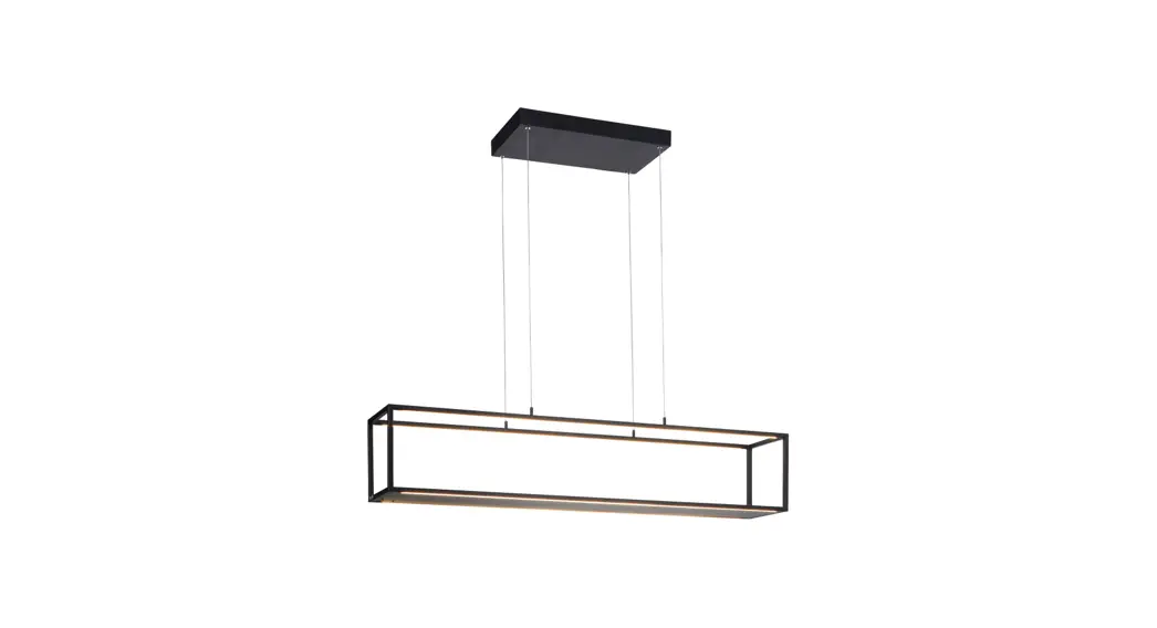 Paul Neuhaus 836099 Led Pendant Light In Black Instruction Manual