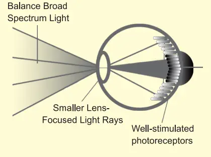easy home ELT-492 LED Therapy Lamp- Featured Image
