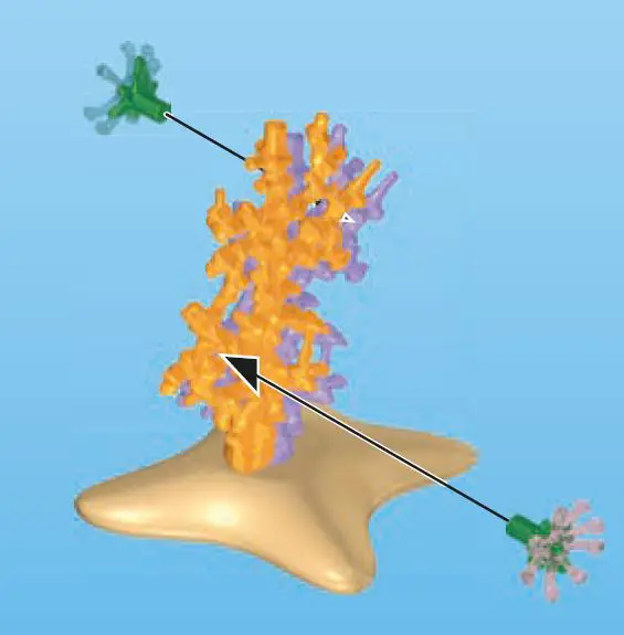 playmobil 9324 Magical Mermaids Carry Case fig 5