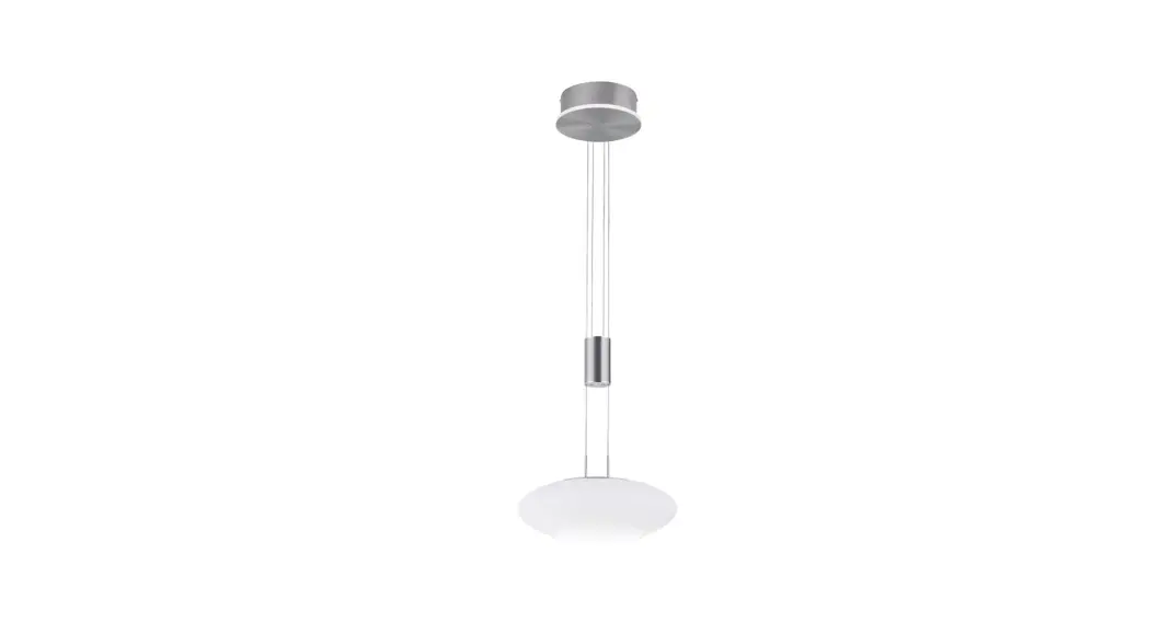 Paul Neuhaus 315387 Q-etienne Led Pendant Light Steel Instructions