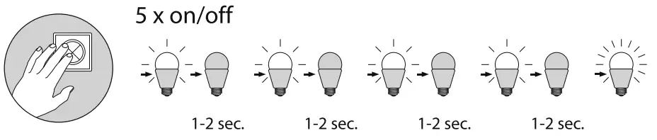 Paul Neuhaus 6891 Q Amy Ceiling Light - Fig4