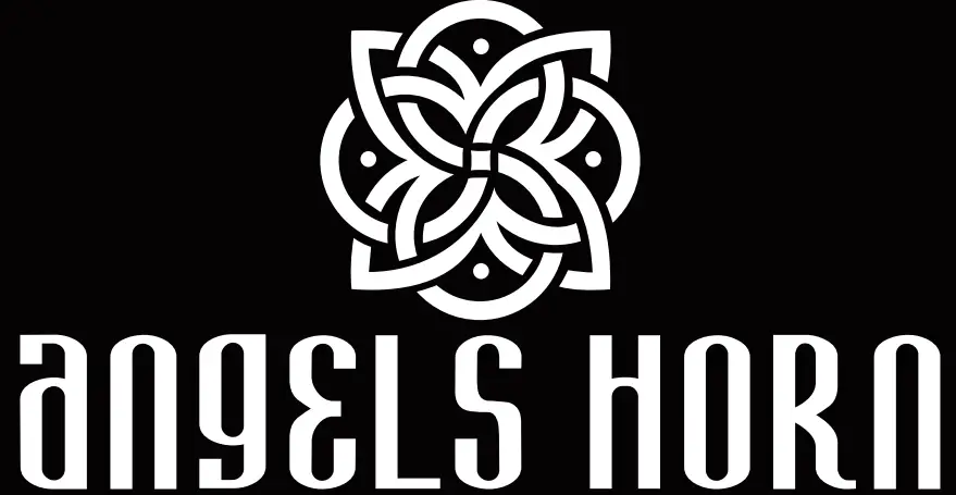 Angels-Horn-H019-Hi-Fi-Bluetooth-Turntable-with-Built-in-Speakers-LOGO