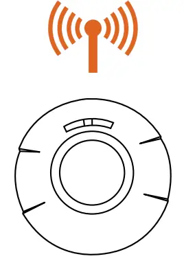 Area or Room (49 + 1 construction area) 