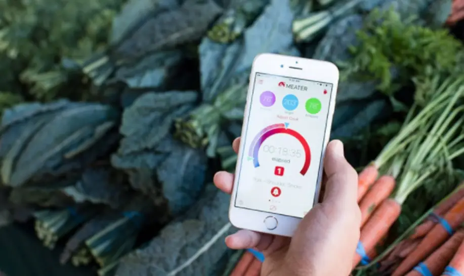 Meater Mt-pr10 Smart Wireless Meat Thermometer User Manual Meater Mt-pr10 Smart Wireless Meat Thermometer User Manual