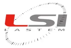 LSI -logo2