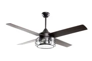 Parrot Uncle Parrotuncle