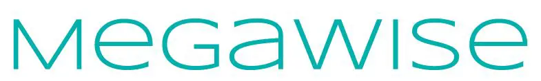 MegaWise -LOGO