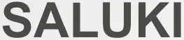 SALUKI-logo
