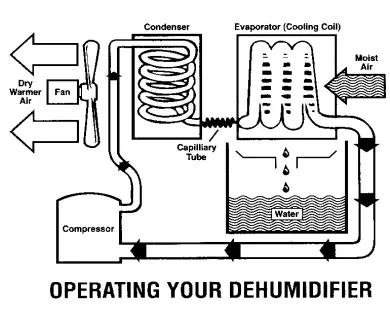 EBAC ECO60 230v Dehumidifier 1
