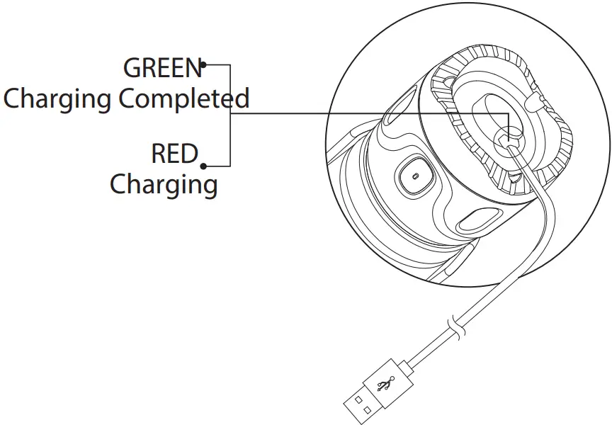 OLIGHT Olantern Mini 150 Lumens Rechargeable Camping Lantern - CHARGING