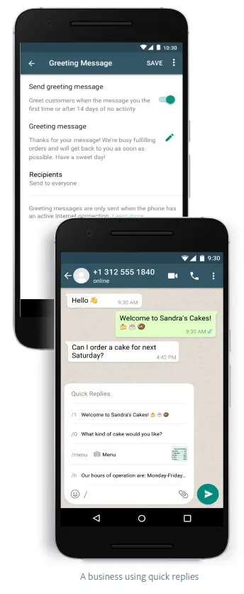 Apps WhatsApp Business App - fig