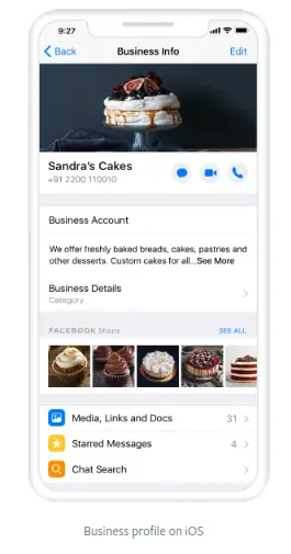 Apps WhatsApp Business App - fig