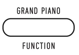 CASIO CDP-S160 Portable Digital Piano fig 10