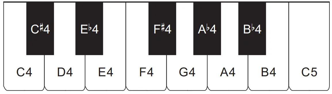 CASIO CDP-S160 Portable Digital Piano fig 14