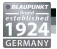 BLAUPUNKT lOGO 1