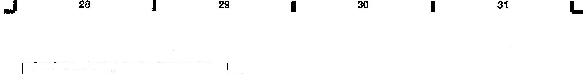 BMW 325 1990 Electrical Wiring Diagrams-IMG (12)