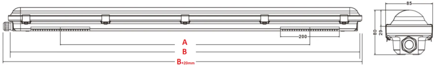 novah EL2BNC3 LED Lighting 01