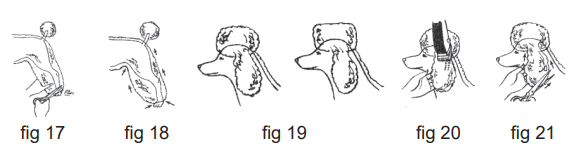 Wahl Lithium Pro Series Clipper Instructions - fig 2